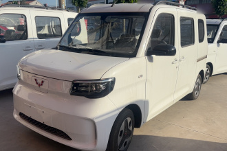 五菱汽车 五菱之光新能源 2025款 305km 进取型