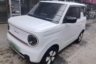 吉利银河 2024款 熊猫mini 200km 耐力熊