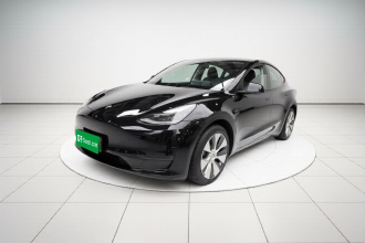 特斯拉 Model Y 2021款 长续航全轮驱动版 3D7