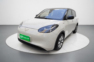 五菱汽车 五菱缤果 2023款 333km 悦享+款