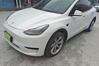 特斯拉 Model Y 2022款 后轮驱动版
