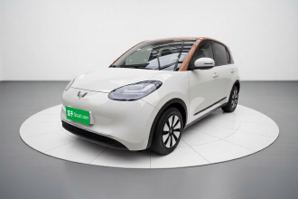 五菱汽车 五菱缤果 2023款 203km 舒享款
