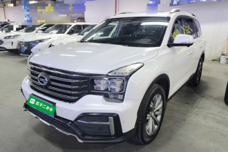 广汽传祺 传祺GS8 2020款 390T 两驱豪华智联版（七座）