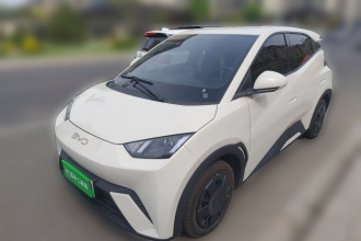 比亚迪 海鸥 2025款 305km 活力版