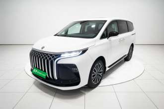 东风风行 星海V9 2024款 1.5TD 200km 中国结系列 尊享型
