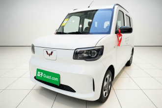 五菱汽车 五菱之光新能源 2025款 305km 进取型