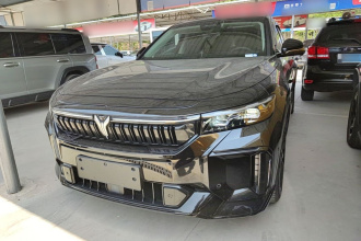 岚图汽车 岚图FREE 2024款 超长续航智驾版