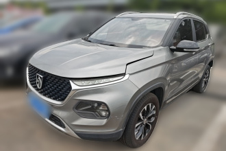 宝骏510 2019款 1.5L 自动优享型 国V