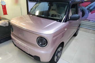 吉利银河 2023款 熊猫mini 200km 灵动熊