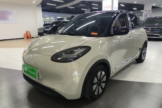 五菱汽车 五菱缤果 2023款 333km 灵犀互联款