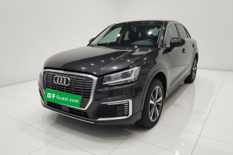 奥迪Q2L e-tron 2019款 Q2L e-tron 纯电智享型
