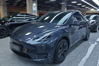 特斯拉 Model Y 2024款 后轮驱动版