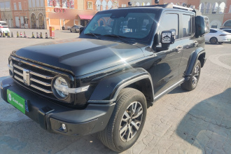 坦克300 2021款 城市版 2.0T 很有型