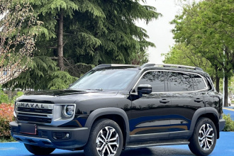 哈弗大狗 2024款 1.5T DCT边牧版