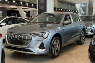奥迪e-tron 2021款 50 quattro 臻选型