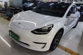特斯拉 Model 3 2020款 改款 长续航后轮驱动版