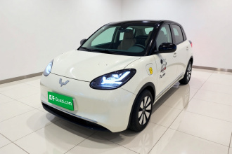 五菱汽车 五菱缤果 2023款 333km 灵犀互联款