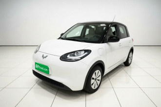 五菱汽车 五菱缤果 2025款 203km 轻享款