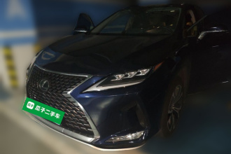 雷克萨斯RX 2020款 300 四驱典雅版 国VI