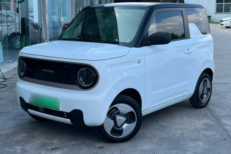 吉利银河 2023款 熊猫mini 200km 耐力熊