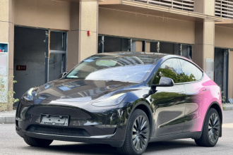 特斯拉 Model Y 2023款 长续航全轮驱动版