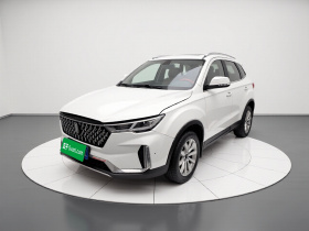 奔腾T33 2019款 1.6L 手动豪华型 国V