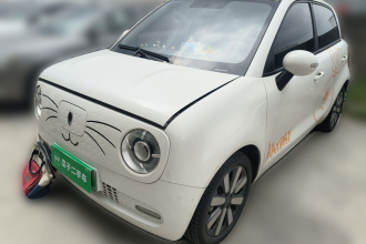 欧拉黑猫 2021款 351km 标准型