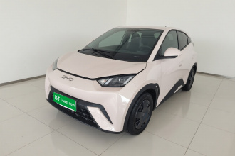 比亚迪 海鸥 2024款 荣耀版 305km 活力版