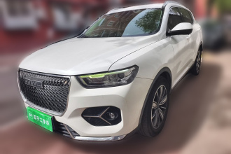 哈弗H6 2021款 1.5T 自动冠军版