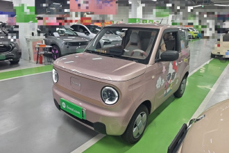 吉利银河 2024款 熊猫mini 200km 耐力熊