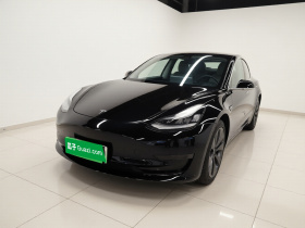 特斯拉 Model 3 2020款 标准续航后驱升级版