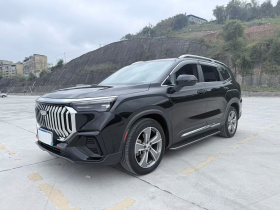 吉利汽车 豪越L 2024款 2.0T DCT尊贵型