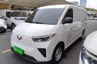 五菱汽车 五菱扬光 2024款 300km 实用型封窗版 75kW