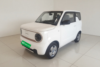 吉利银河 2024款 熊猫mini 200km 耐力熊