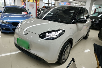 五菱汽车 五菱缤果 2024款 333km 悦享款
