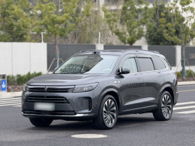 鸿蒙智行 问界M7 2024款 1.5T 智驾后驱Max版 6座