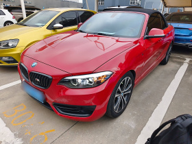 宝马2系(进口) 2019款 225i 敞篷轿跑车 运动设计套装