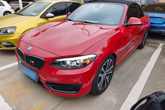 宝马2系(进口) 2019款 225i 敞篷轿跑车 运动设计套装