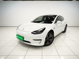 特斯拉 Model 3(进口) 2019款 长续航后驱版