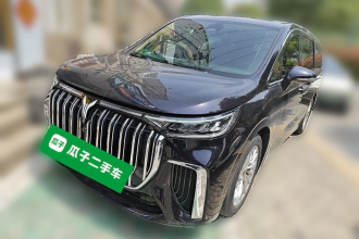 岚图汽车 岚图梦想家 2022款 低碳版 想+智驾包