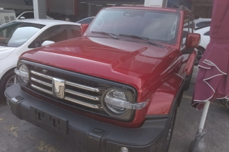 坦克300 2021款 城市版 2.0T 很有型