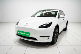 特斯拉 Model Y 2021款 标准续航后驱版