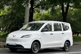 五菱汽车 五菱宏光新能源 2025款 增程式混动 50KM 标准型