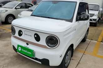 吉利银河 2023款 熊猫mini 200km 耐力熊