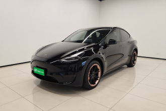特斯拉 Model Y 2022款 后轮驱动版