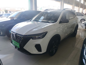 荣威RX5 2021款 PLUS 330TGI 自动国潮智臻版