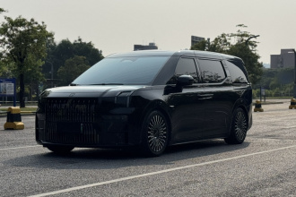 极氪009 2022款 WE版