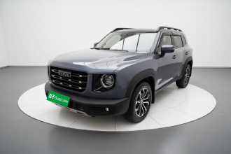 哈弗大狗 2021款 1.5T DCT两驱边牧版