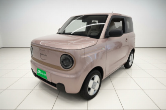 吉利银河 2023款 熊猫mini 200km 耐力熊