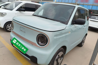 吉利银河 2023款 熊猫mini 200km 灵动熊